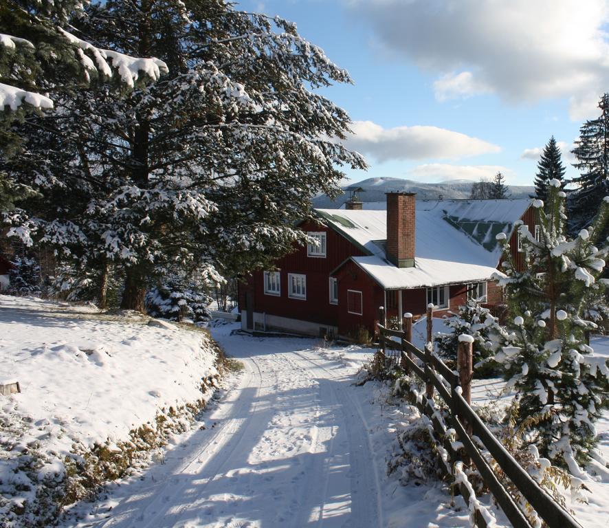 Rodinny Hotel Kaiser Desná Eksteriør billede